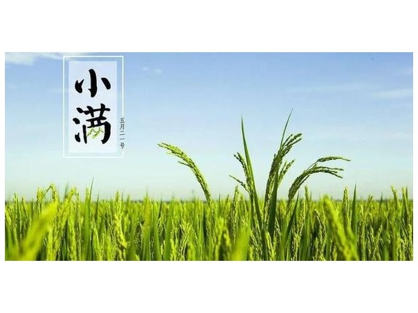 四月中，小瞞者，物致于此小得盈滿